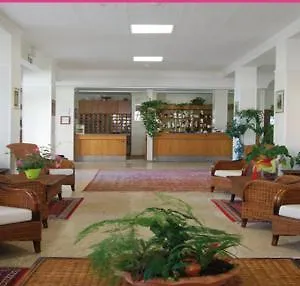 Delfino סניגליה