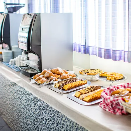 酒店 Delfino 西尼加利亚