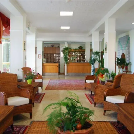 Delfino 西尼加利亚